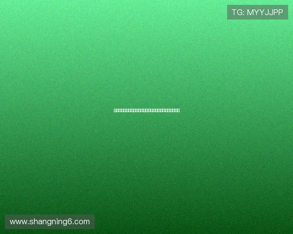 《忠犬八公的故事》：当爱超越生死，这份羁绊足以温暖世界