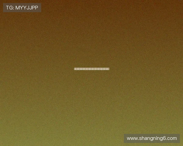 圣天空战记剧场版：重燃的黎明，与你共赴星辰大海